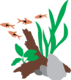 miniplantscapes